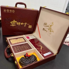 Hộp sâm quà biếu