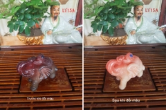 Linh vật đổi màu