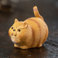 Pet trà - Mèo tam thể