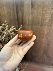 Chén Xích Kim Bôi - Đại Hồng Bào - 70ml