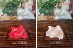 Linh vật đổi màu