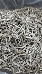 Bạch trà đặc biệt hảo hạng