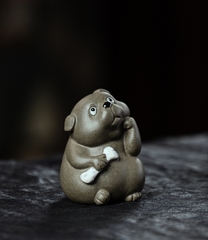 Pet trà cún Bull ngộ -