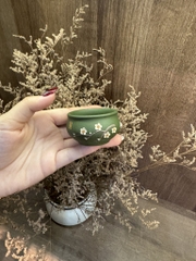 Chén Điệp Cúc Trản - Lục Nê - 50ml