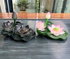 Pet đổi màu bàn trà