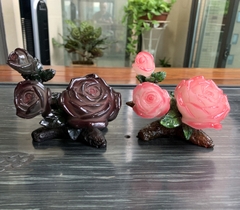 Pet đổi màu bàn trà