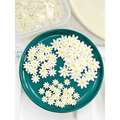 Kẹo Gum Hoa Decor Bánh (Hộp 100c)