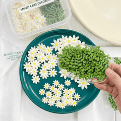 Kẹo Gum Hoa Decor Bánh (Hộp 100c)