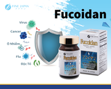 FINE FUCOIDAN 30 viên