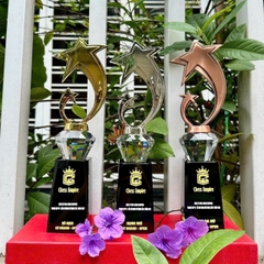 Cúp Kim Loại 17