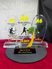 Cúp pickleball nhất nhì ba