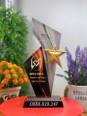 Kỷ niệm chương gắn sao