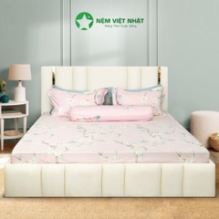 Bộ chăn ga gối Việt Nhật TC9