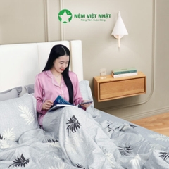 Bộ chăn ga gối Việt Nhật TC06
