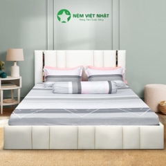 Bộ chăn ga gối Việt Nhật TC31