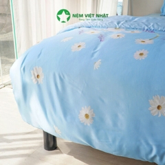 Bộ chăn ga gối Việt Nhật TC12