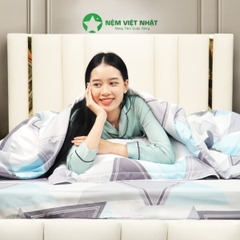 Bộ chăn ga gối Việt Nhật TC29