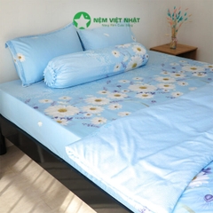 Bộ chăn ga gối Việt Nhật TC12
