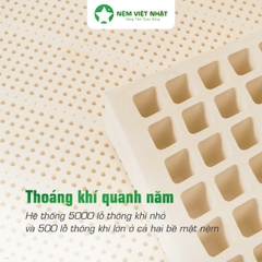 Nệm Cao Su Thiên Nhiên Việt Nhật Natural – Thế Hệ Mới Nâng Đỡ Hoàn Hảo, Xoa Dịu Mọi Cơn Nhức Mỏi