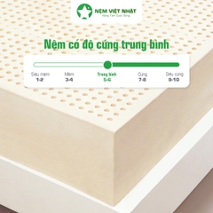 Nệm Cao Su Thiên Nhiên Việt Nhật Natural – Thế Hệ Mới Nâng Đỡ Hoàn Hảo, Xoa Dịu Mọi Cơn Nhức Mỏi