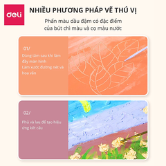 Bút sáp dầu DELI 24 màu