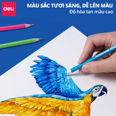 Bút chì màu DELI hộp thiếc