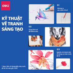 Bút chì màu DELI hộp thiếc