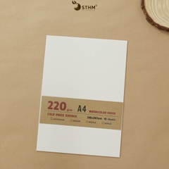 Giấy mỹ thuật Canson 220gsm xấp 10 tờ