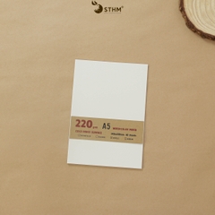 Giấy mỹ thuật Canson 220gsm xấp 10 tờ