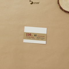 Giấy mỹ thuật Canson 220gsm xấp 10 tờ