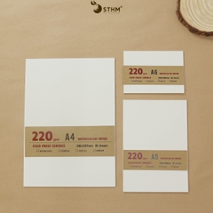 Giấy mỹ thuật Canson 220gsm xấp 10 tờ