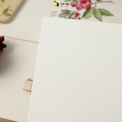 Giấy mỹ thuật Canson 220gsm xấp 10 tờ