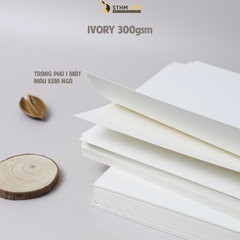 Giấy tráng phủ 1 mặt IVORY 215x320mm xấp 50 tờ