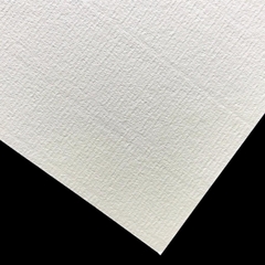 Giấy mỹ thuật Canson 220gsm xấp 10 tờ