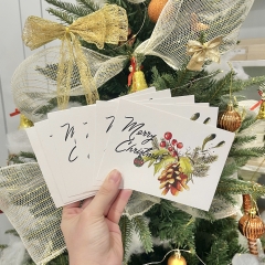 Thiệp giấy Postcard A6 xấp 8 cái