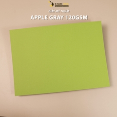 Giấy mỹ thuật 120gsm xấp 10 tờ