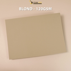 Giấy mỹ thuật 120gsm xấp 10 tờ
