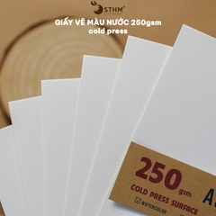 Giấy mỹ thuật Canson 250gsm xấp 10 tờ