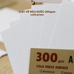 Giấy mỹ thuật Canson 300gsm xấp 10 tờ
