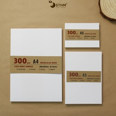 Giấy mỹ thuật Canson 300gsm xấp 10 tờ