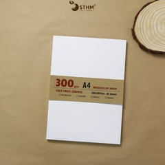 Giấy mỹ thuật Canson 300gsm xấp 10 tờ