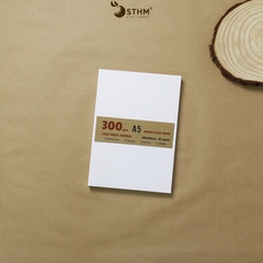 Giấy mỹ thuật Canson 300gsm xấp 10 tờ