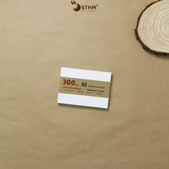 Giấy mỹ thuật Canson 300gsm xấp 10 tờ