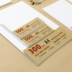 Giấy mỹ thuật Canson 300gsm xấp 10 tờ