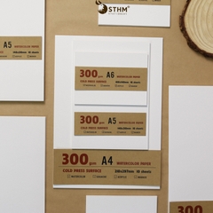 Giấy mỹ thuật Canson 300gsm xấp 10 tờ
