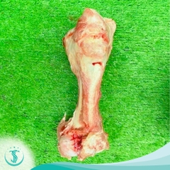 XƯƠNG ỐNG HEO ĐÔNG LẠNH
