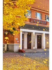ĐH Sư phạm Thủ đô (CNU)