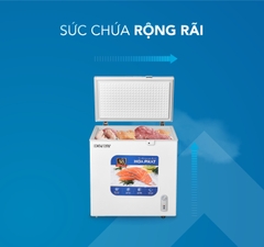 Tủ đông dàn đồng Funiki Hòa Phát 162L HPF AD6162
