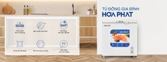Tủ đông dàn đồng Funiki Hòa Phát 162L HPF AD6162