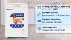 Tủ đông dàn đồng Funiki Hòa Phát 107L HPF AD6107